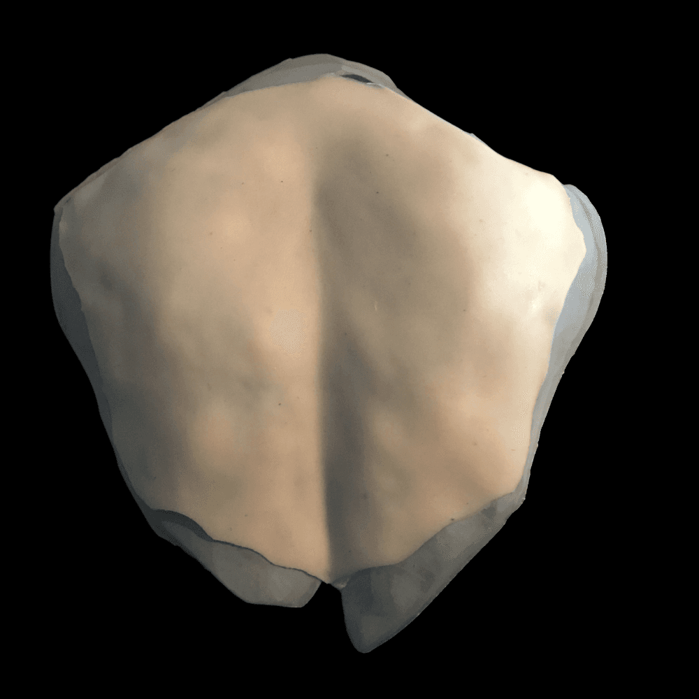 T-3D Woman Back