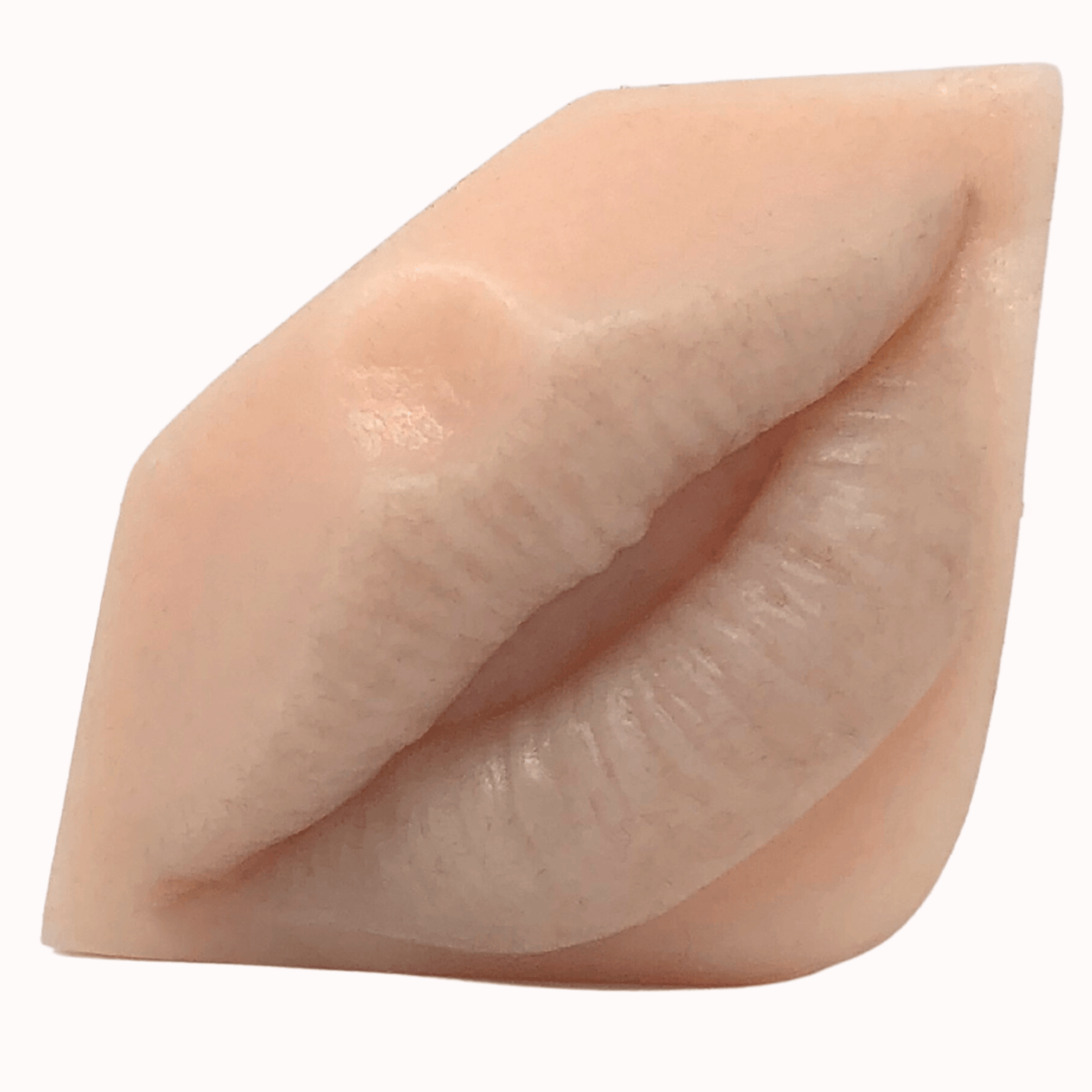 3D Synthetic Lips for PMU Practice -WoWlips! Starter Kit-