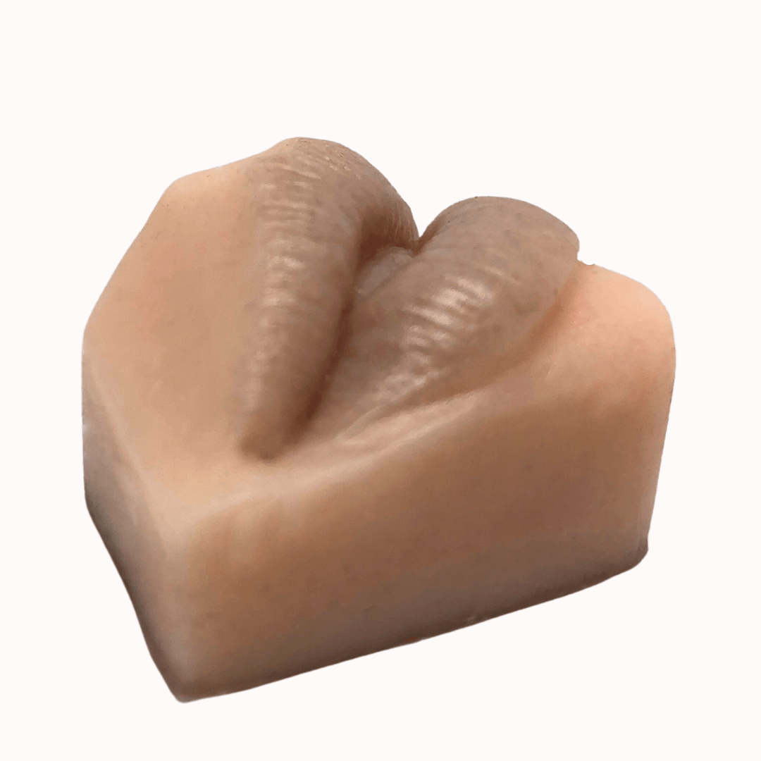 3D Synthetic Lips for PMU Practice -WoWlips! Starter Kit-