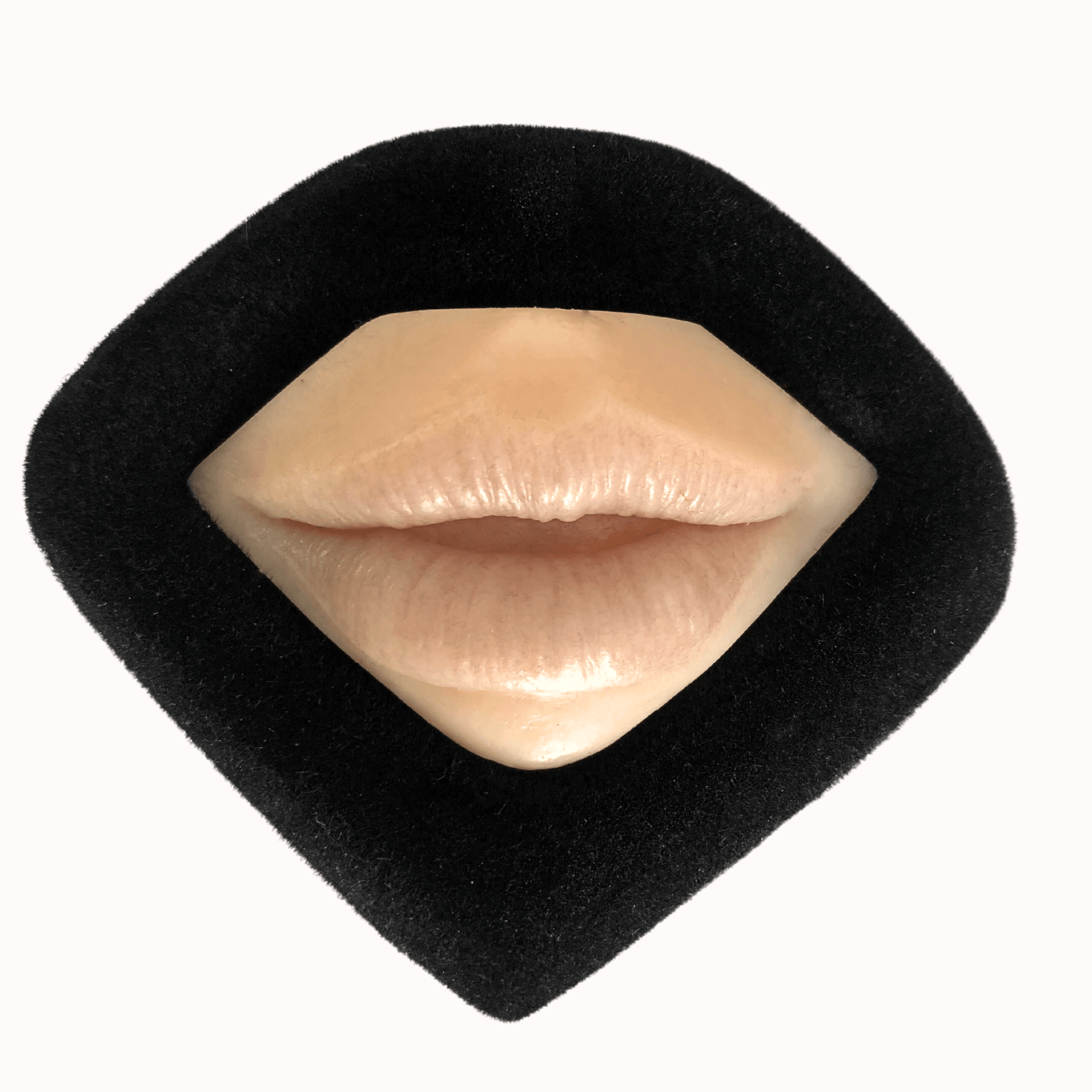 3D Synthetic Lips for PMU Practice -WoWlips! Starter Kit-