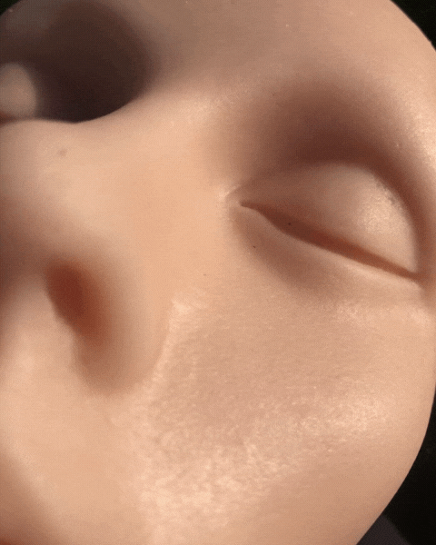 Peau Visage 3D