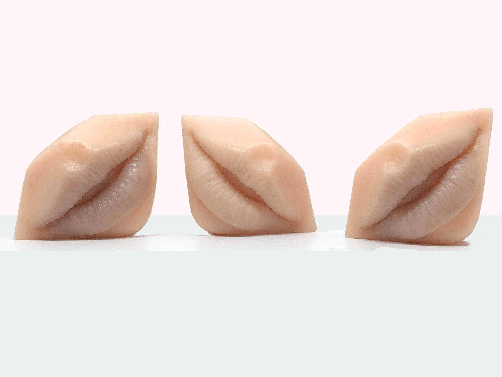 3D Synthetic Lips for PMU Practice -WoWlips! Starter Kit-